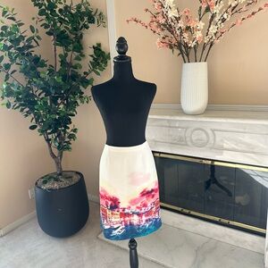 Robert Graham Venice Sunset Limited Edition Art Skirt Size 10